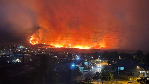 MAUI FIRE DONATION - 20 PCS OF SOAP TO THOSE IN NEED